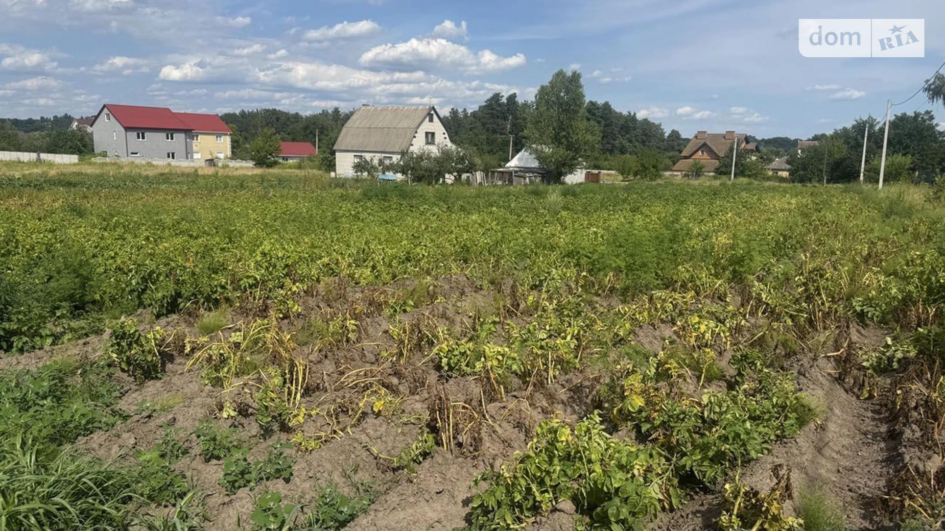 Продається земельна ділянка 30.94 соток у Київській області, цена: 12100 $ - фото 3