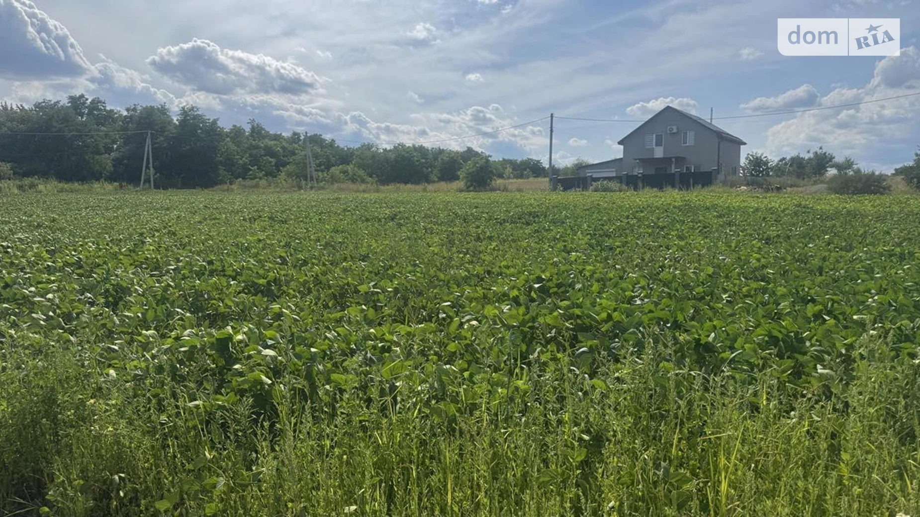 Продається земельна ділянка 30.94 соток у Київській області, цена: 12100 $ - фото 5
