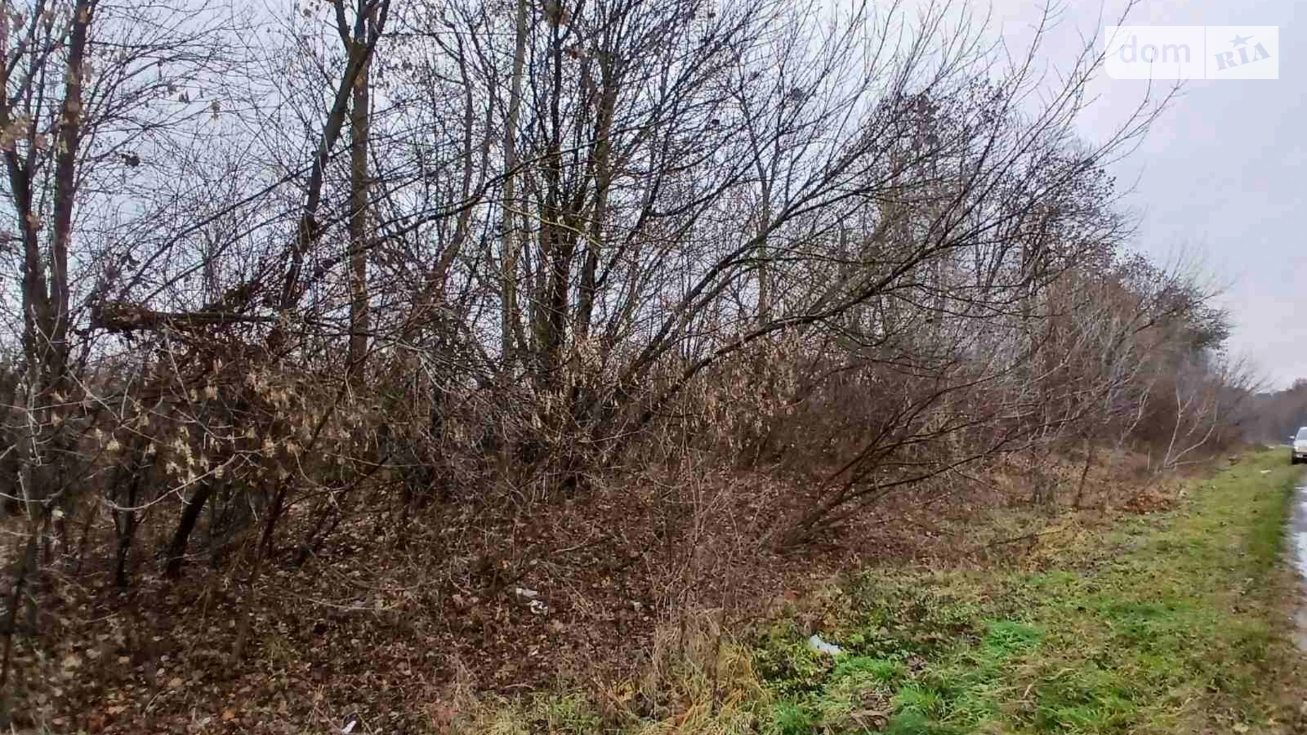 Тарасовка, цена: 180000 $ - фото 4