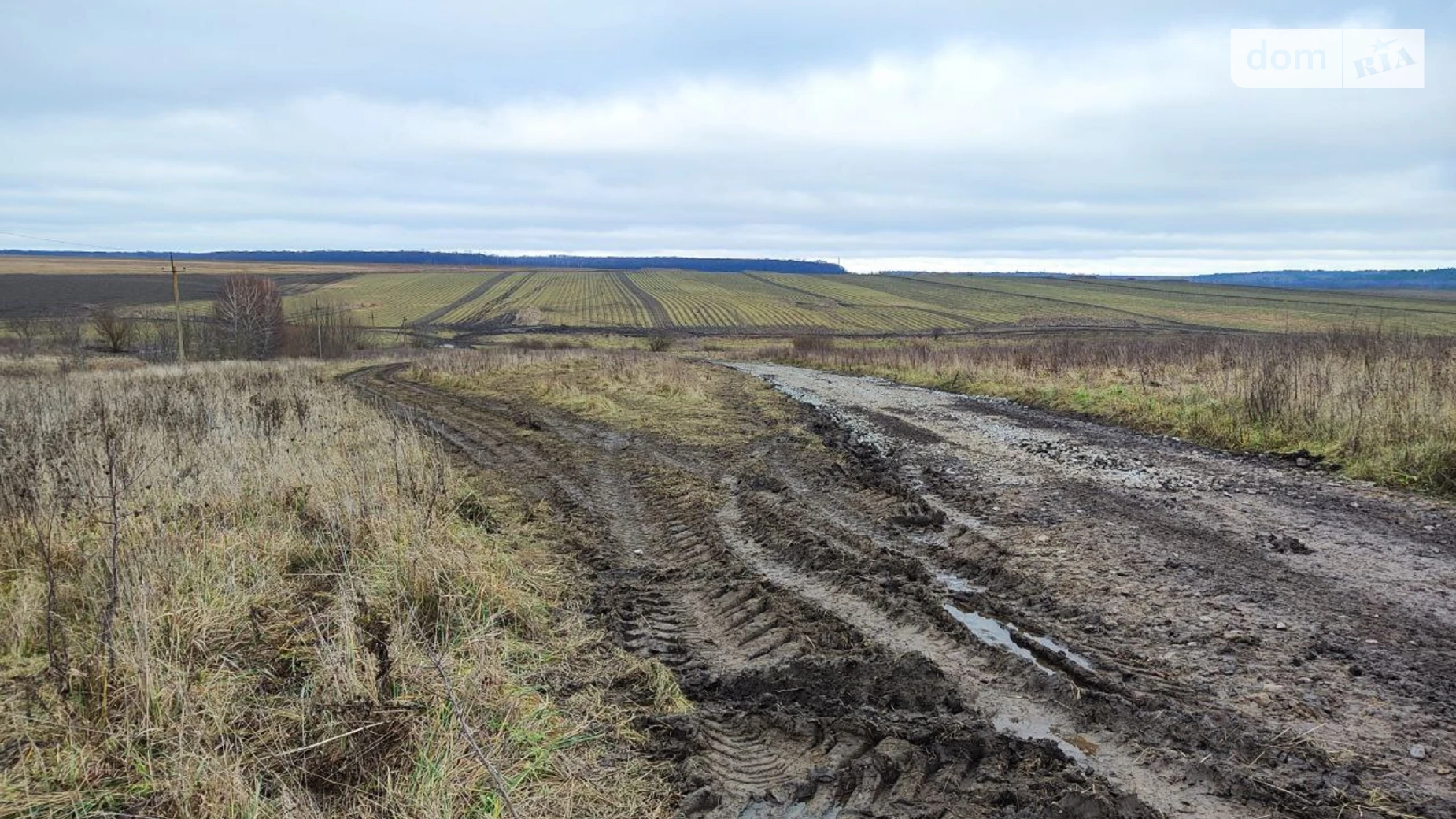 Продается земельный участок 10 соток в области, - фото 4