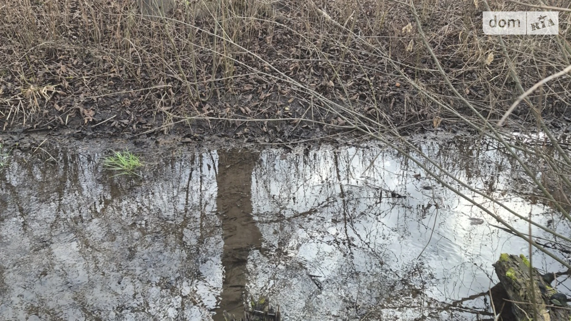 Продается земельный участок 12 соток в Винницкой области, цена: 99999 $ - фото 3