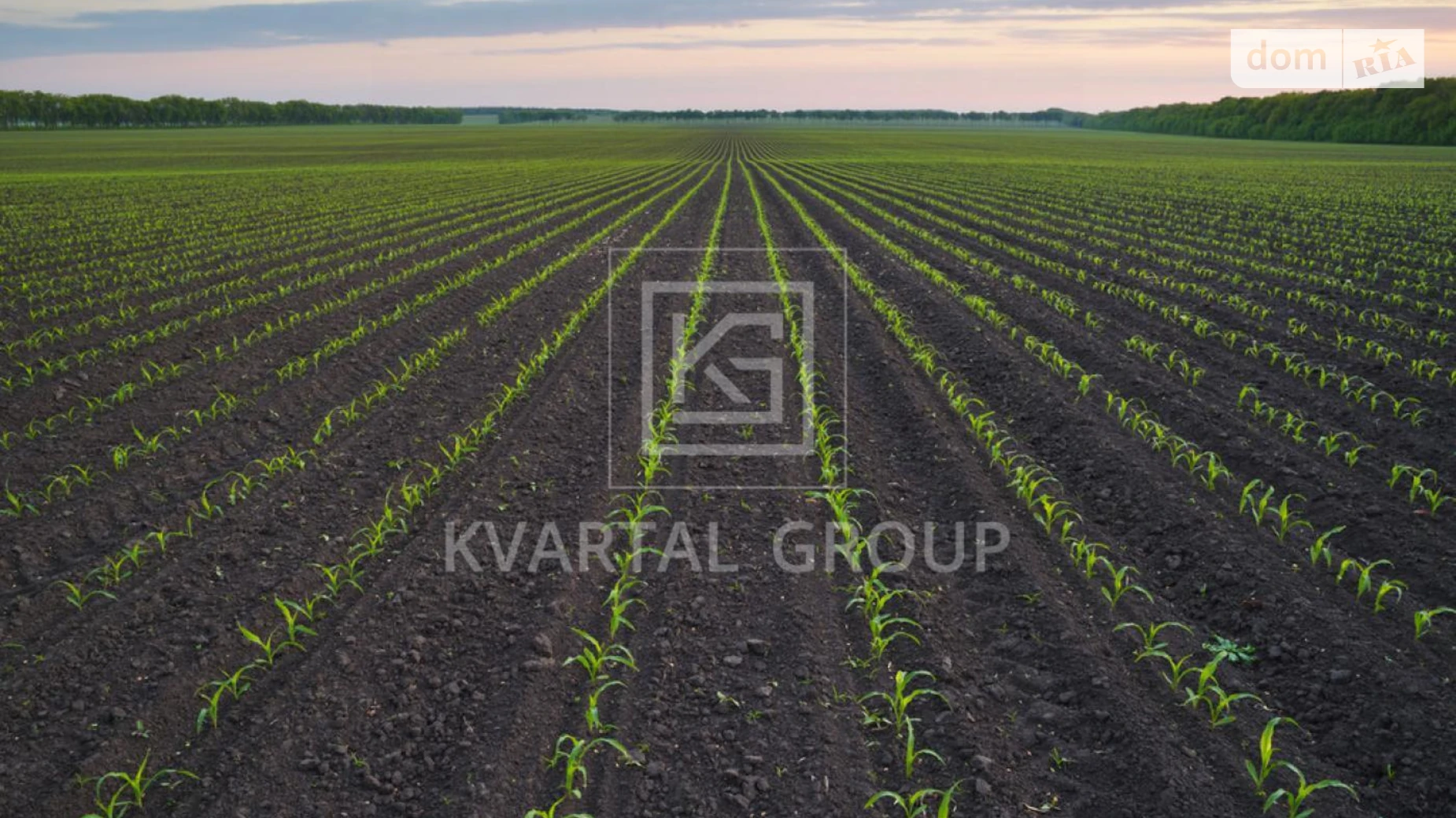 Андреевка (Макаров), цена: 13000 $ - фото 2