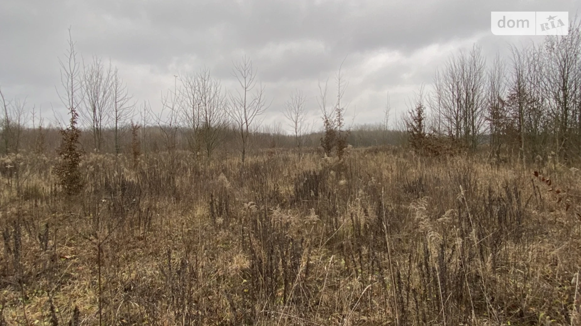 Продается земельный участок 12 соток в Винницкой области, цена: 10000 $ - фото 2