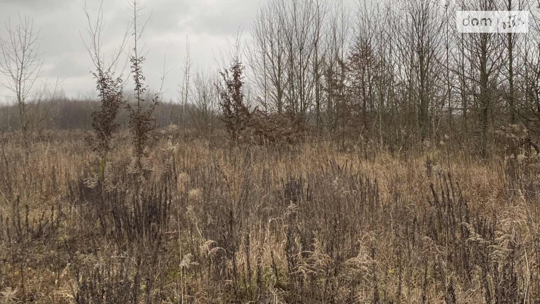 Продается земельный участок 12 соток в Винницкой области, цена: 10000 $ - фото 3