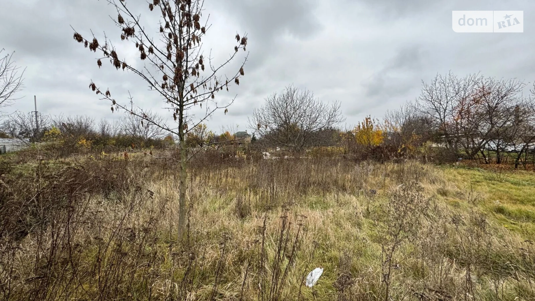Сдается в аренду земельный участок 0.7485 соток в области, цена: 704325 грн - фото 2