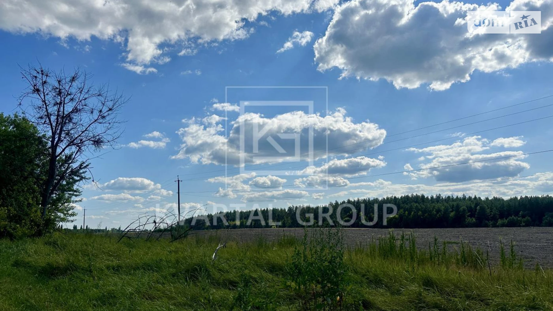 Фасовая, цена: 350000 $ - фото 4