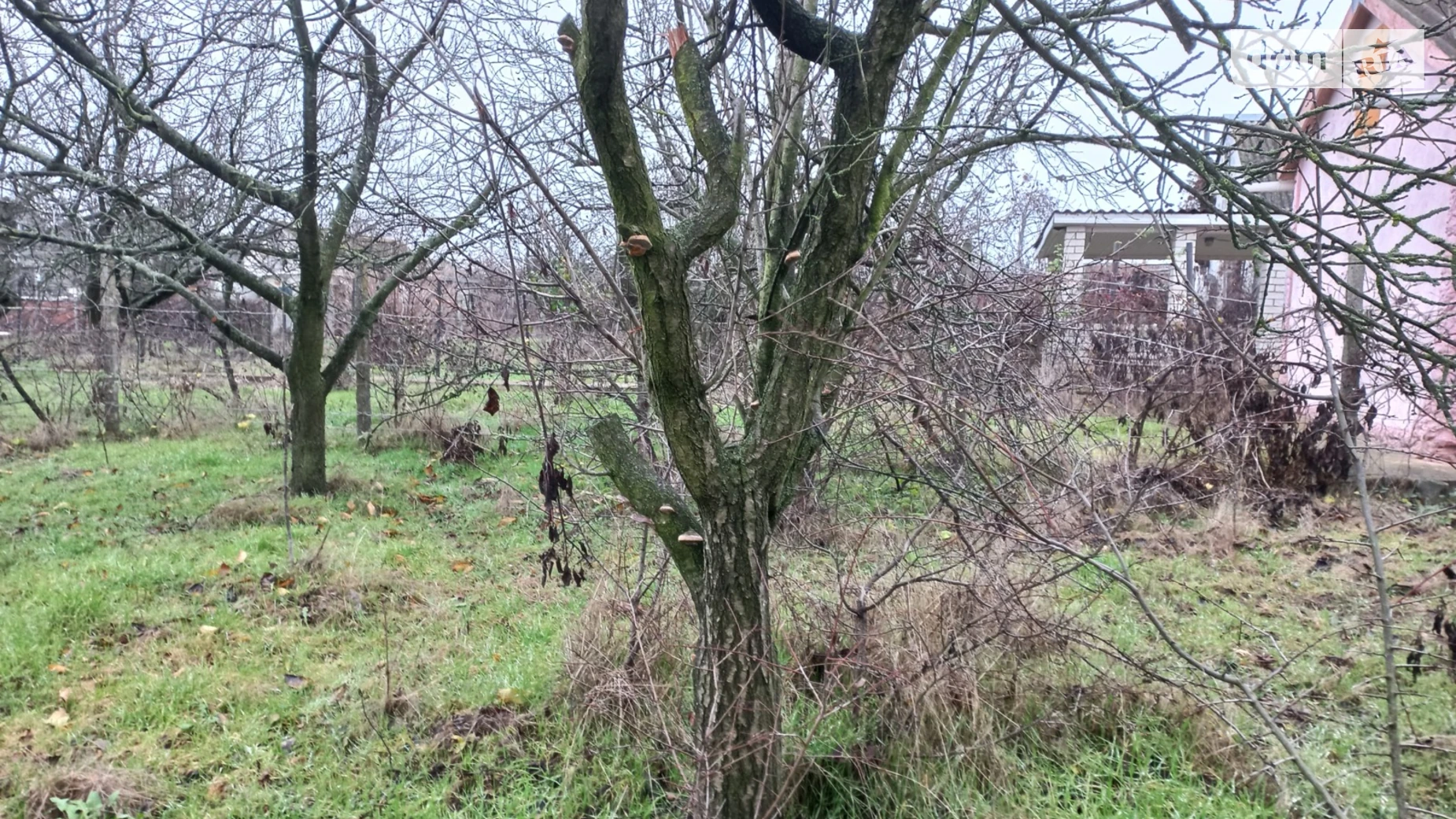 ул. 24-я Светлое, цена: 5000 $ - фото 3