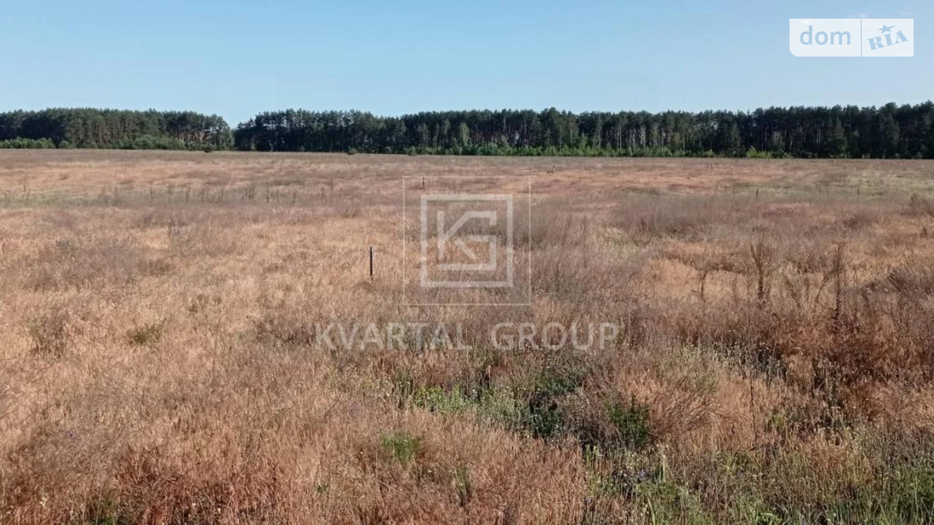 Гавриловка, цена: 8000 $ - фото 5