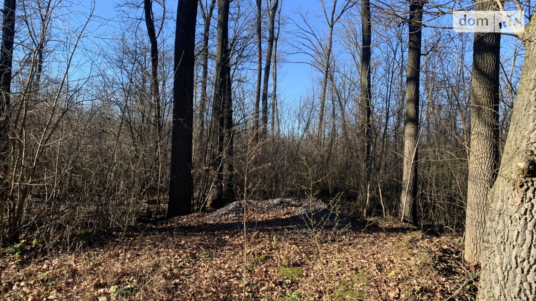 1-й пр. Медовый Винница, цена: 38000 $ - фото 4