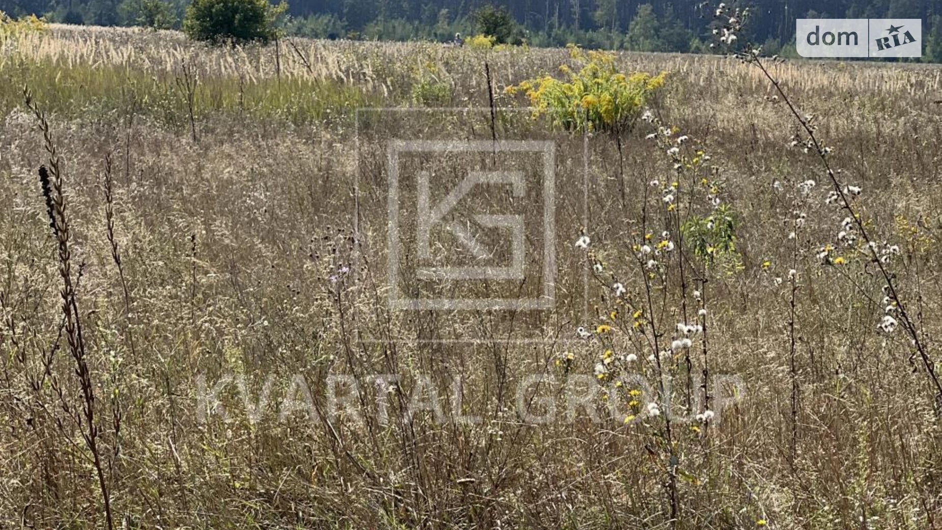 Гавриловка, цена: 13500 $ - фото 2