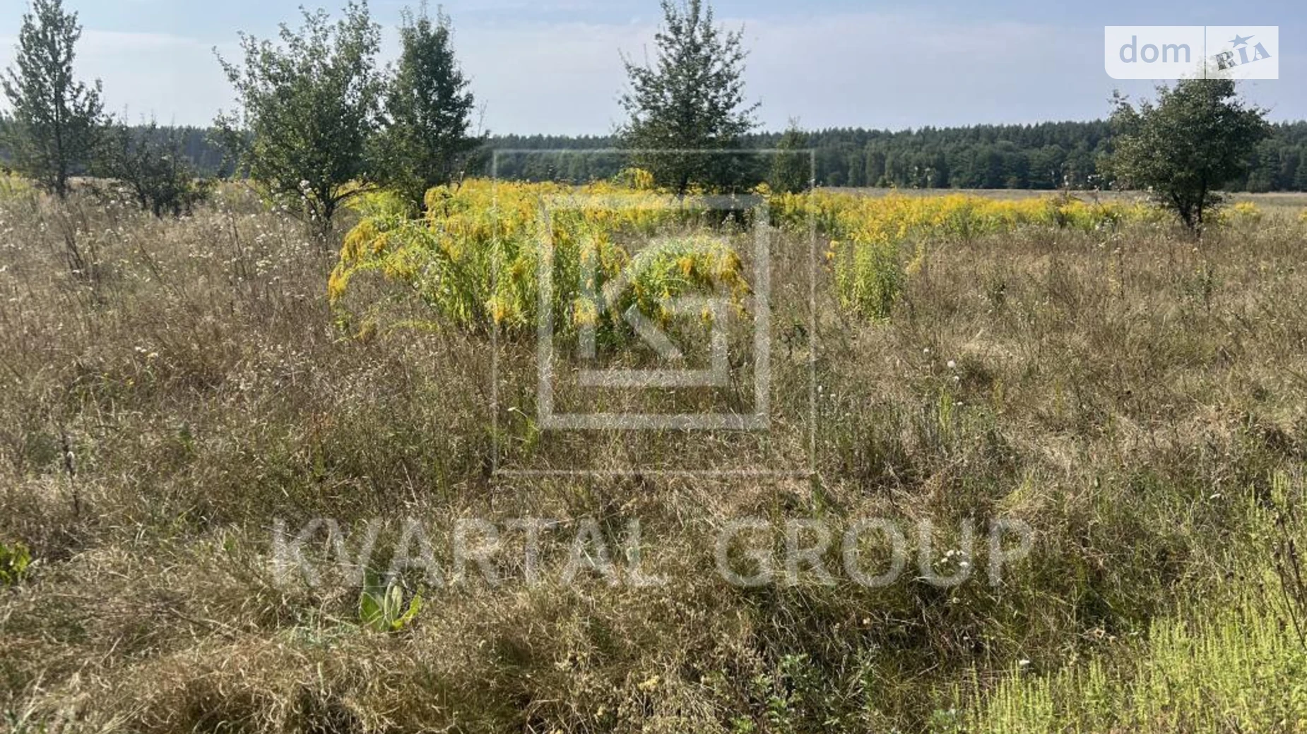 Гавриловка, цена: 13500 $ - фото 3