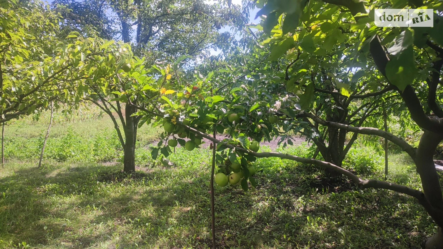 Продается дом на 2 этажа 105.4 кв. м с гаражом, цена: 7000 $ - фото 3