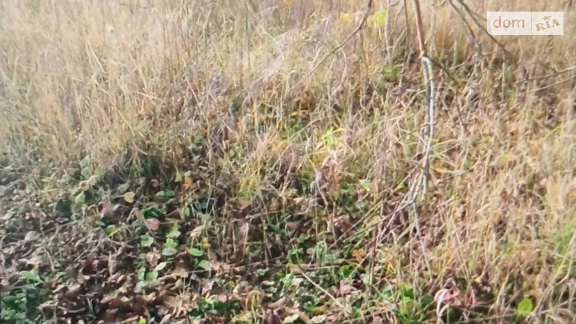 Петриков, цена: 5200 $ - фото 3