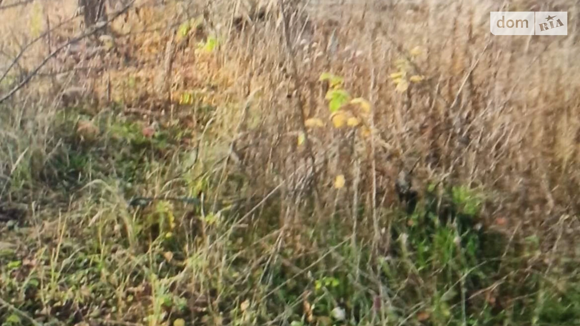 Петриков, цена: 5200 $ - фото 2