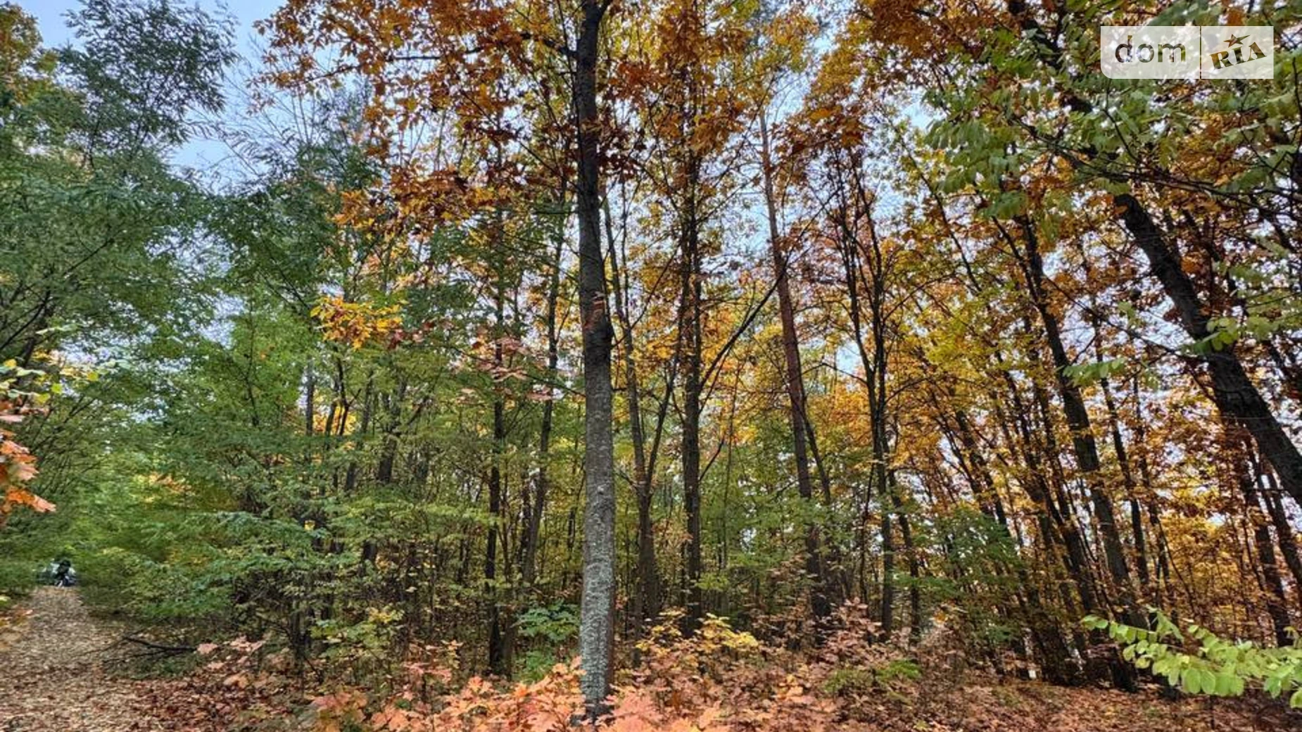 Продається земельна ділянка 25 соток у Київській області, цена: 132500 $ - фото 3