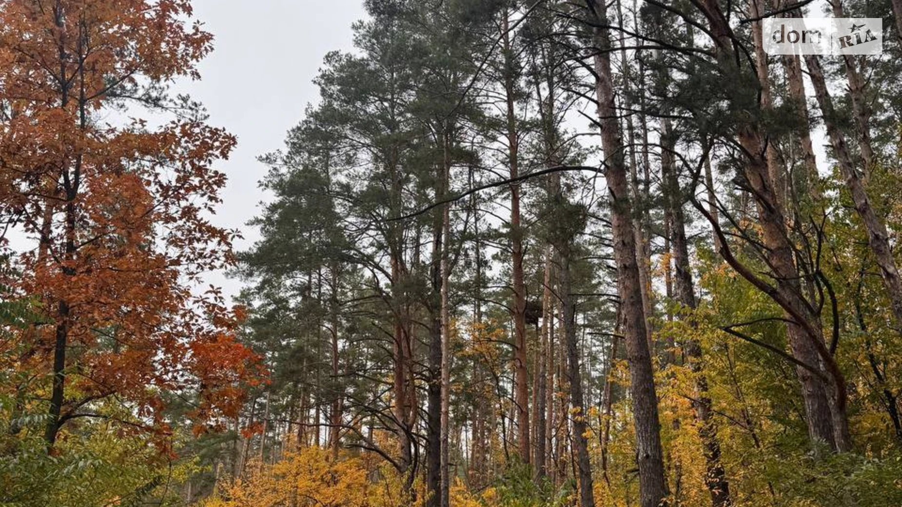 Продається земельна ділянка 25 соток у Київській області, цена: 132500 $ - фото 4