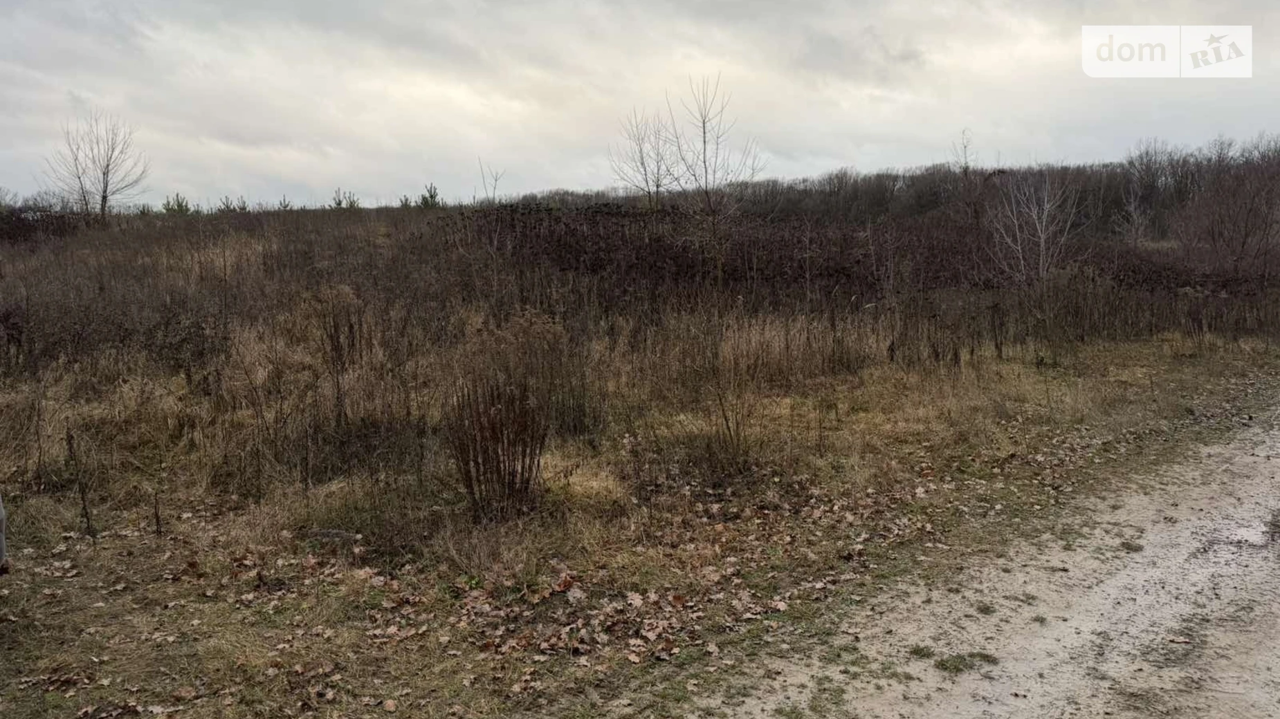 Продается земельный участок 6 соток в Винницкой области, цена: 10700 $ - фото 2