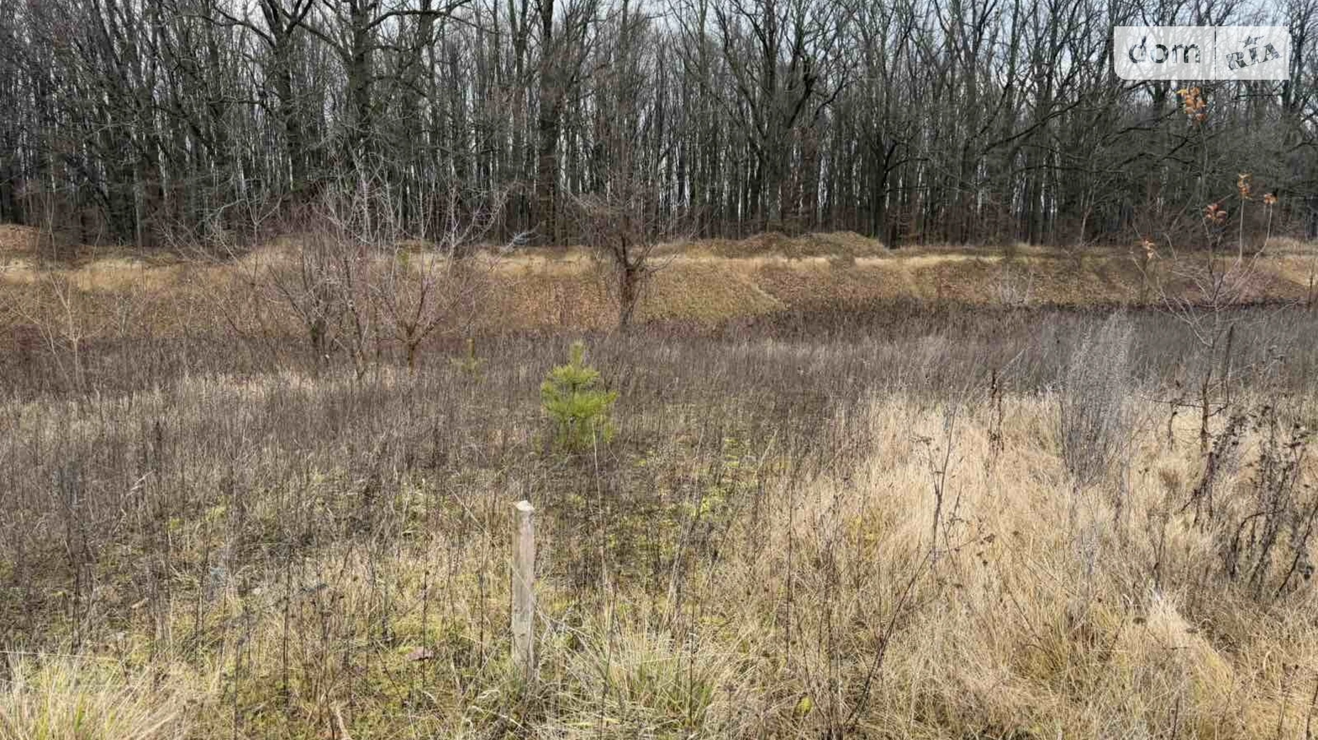 Продается земельный участок 6 соток в Винницкой области, цена: 10700 $ - фото 3