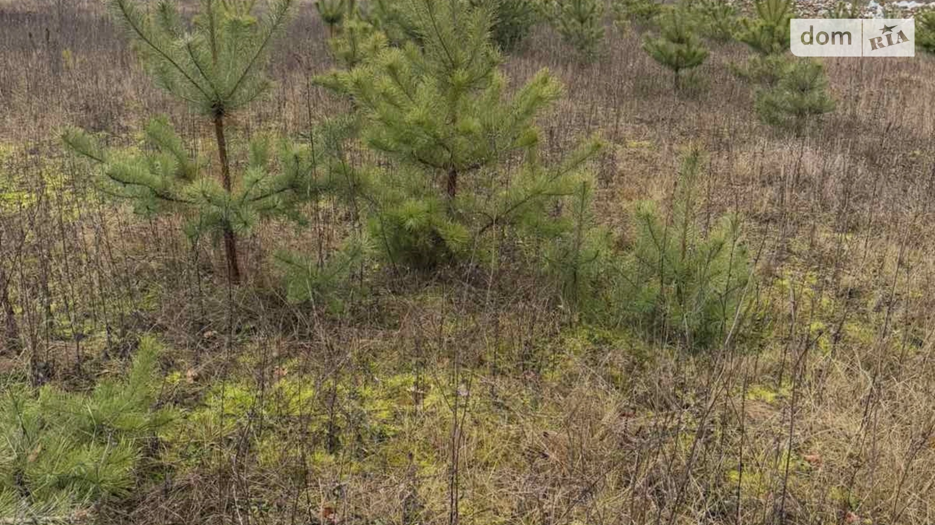 Продается земельный участок 6 соток в Винницкой области, цена: 10700 $ - фото 4