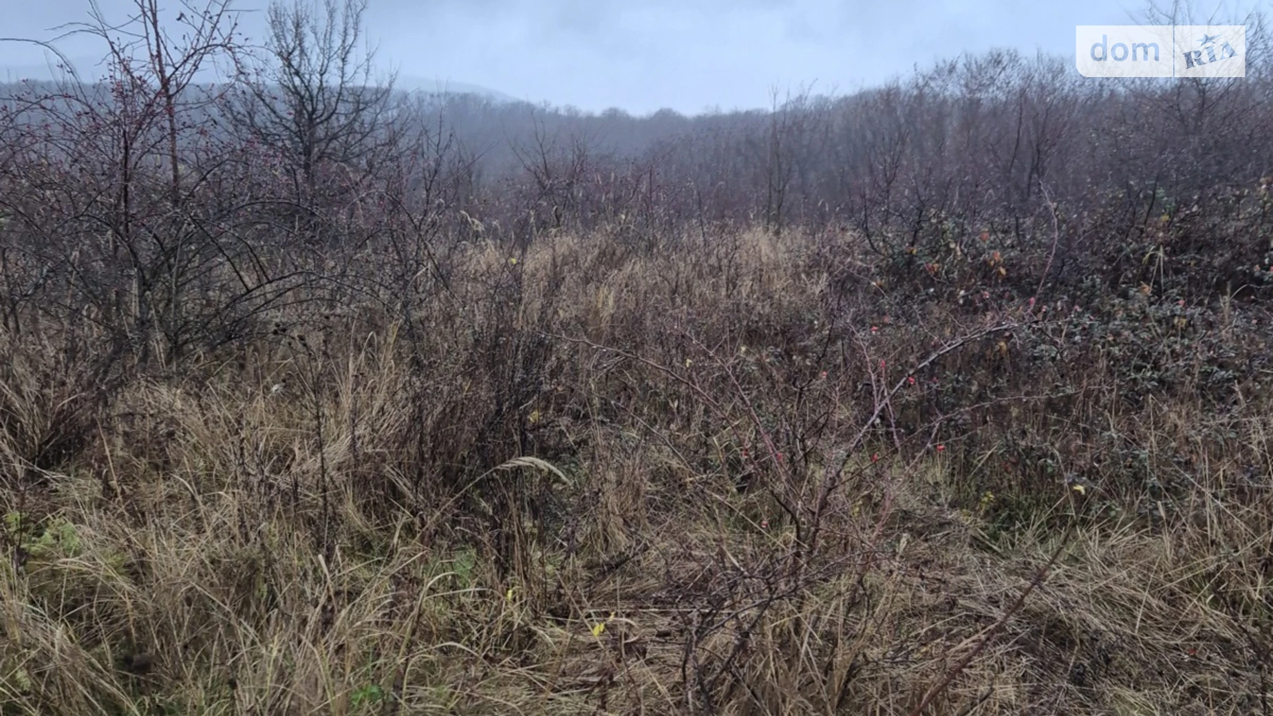 Продается земельный участок 0.1035 соток в Закарпатской области, цена: 5000 $ - фото 4