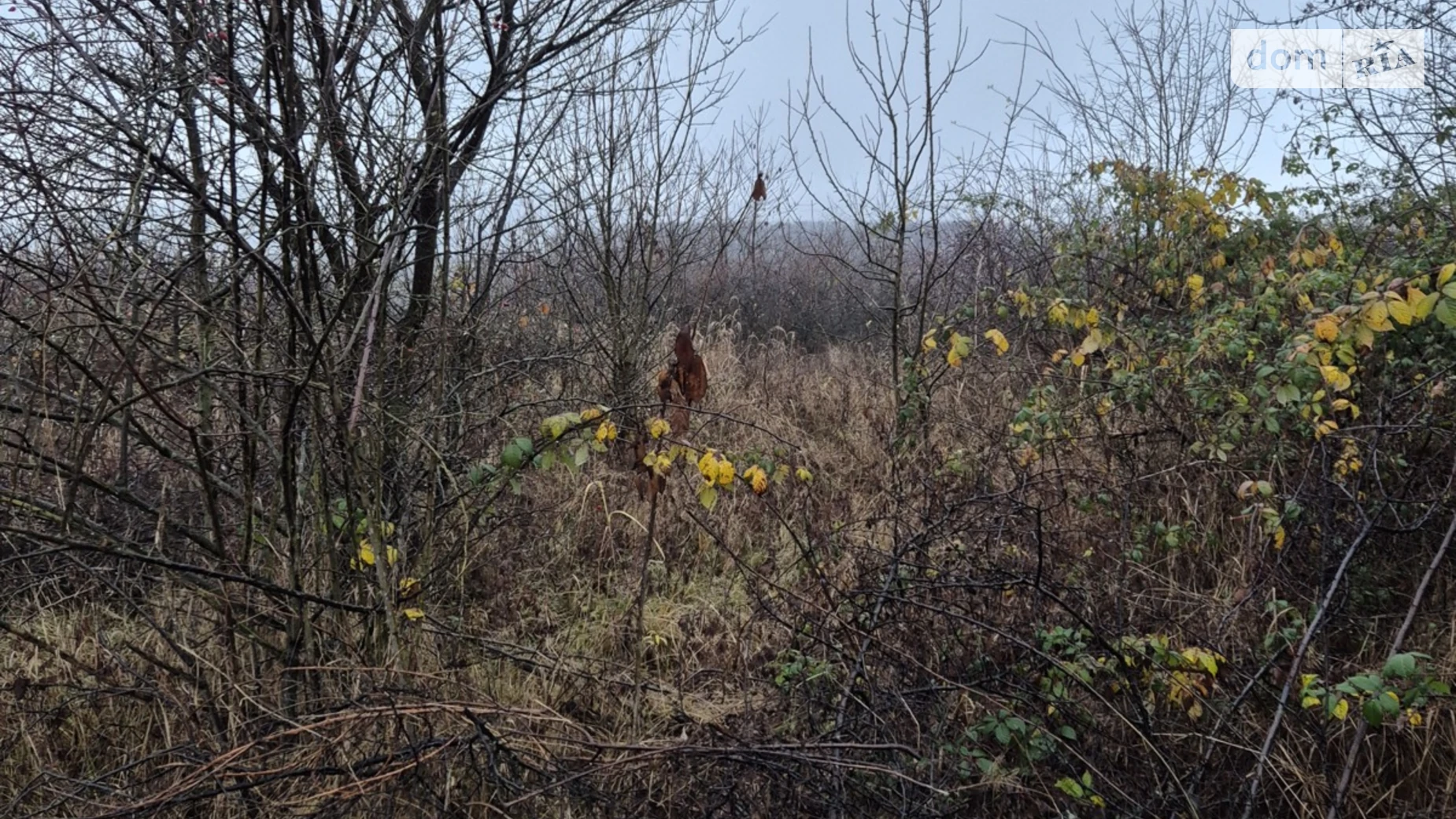 Продается земельный участок 0.1035 соток в Закарпатской области, цена: 5000 $ - фото 5