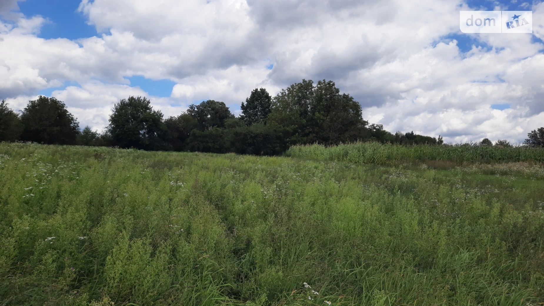 Продается земельный участок 25 соток в Винницкой области, цена: 7500 $ - фото 2