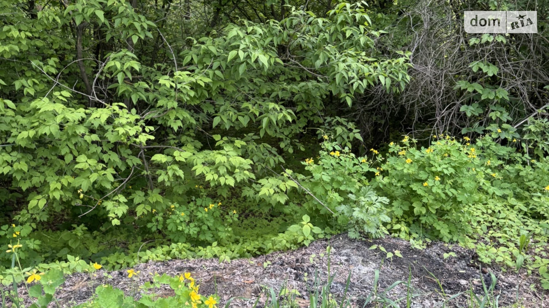 ул. Приозерная Гореничи, цена: 52000 $ - фото 5