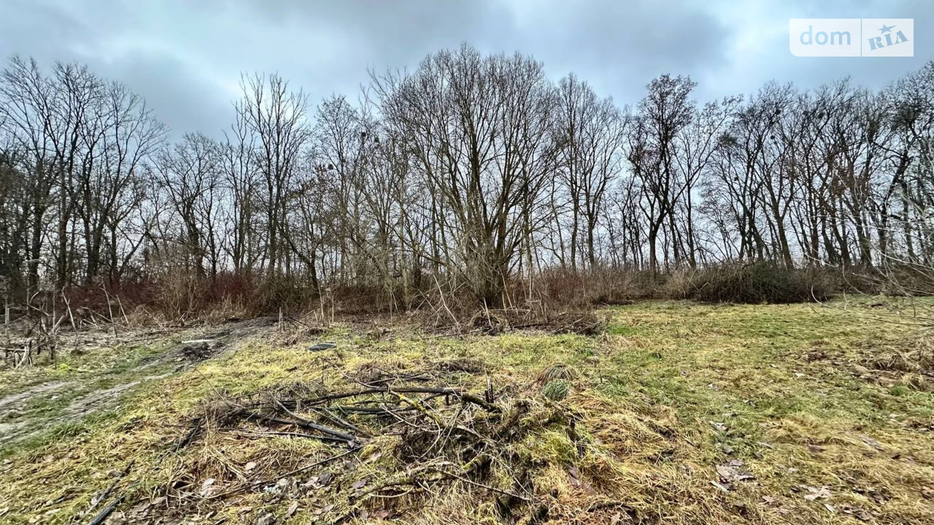 Продается земельный участок 24 соток в Львовской области, цена: 10000 $ - фото 5