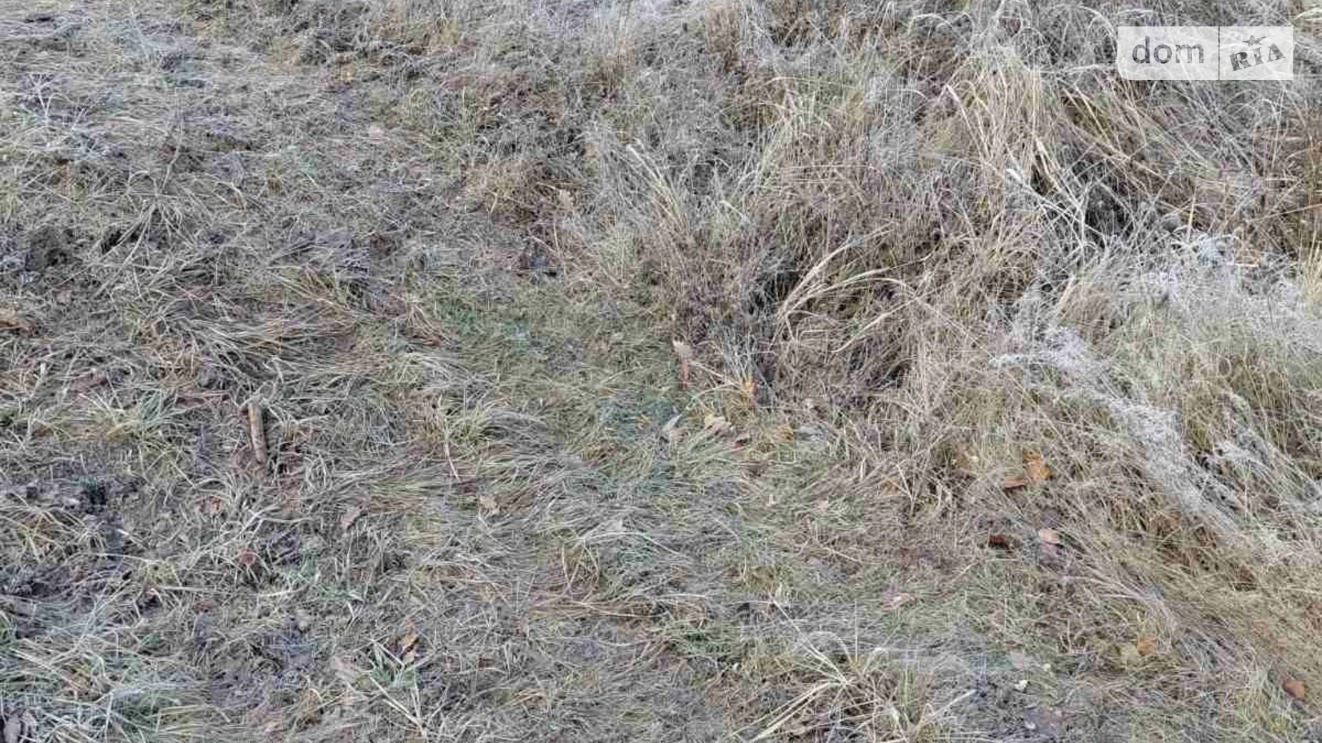 Сдается в аренду земельный участок 0.91 соток в области, цена: 4626 грн - фото 2