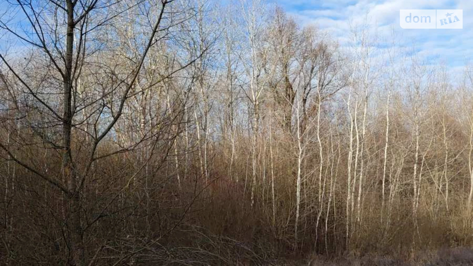 Сдается в аренду земельный участок 0.91 соток в области, цена: 4626 грн - фото 3