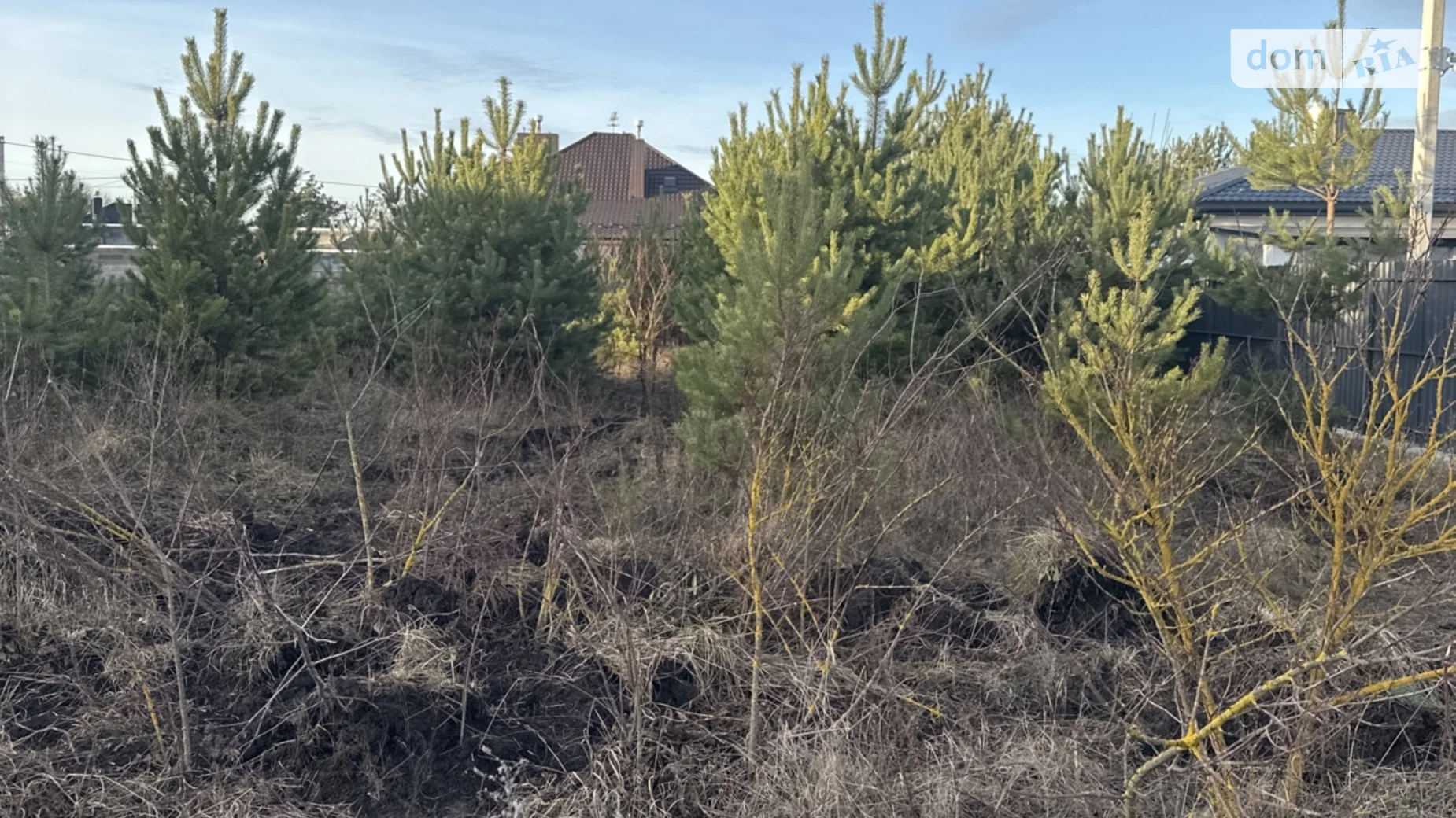 Продается земельный участок 8 соток в Тернопольской области, цена: 24000 $ - фото 3