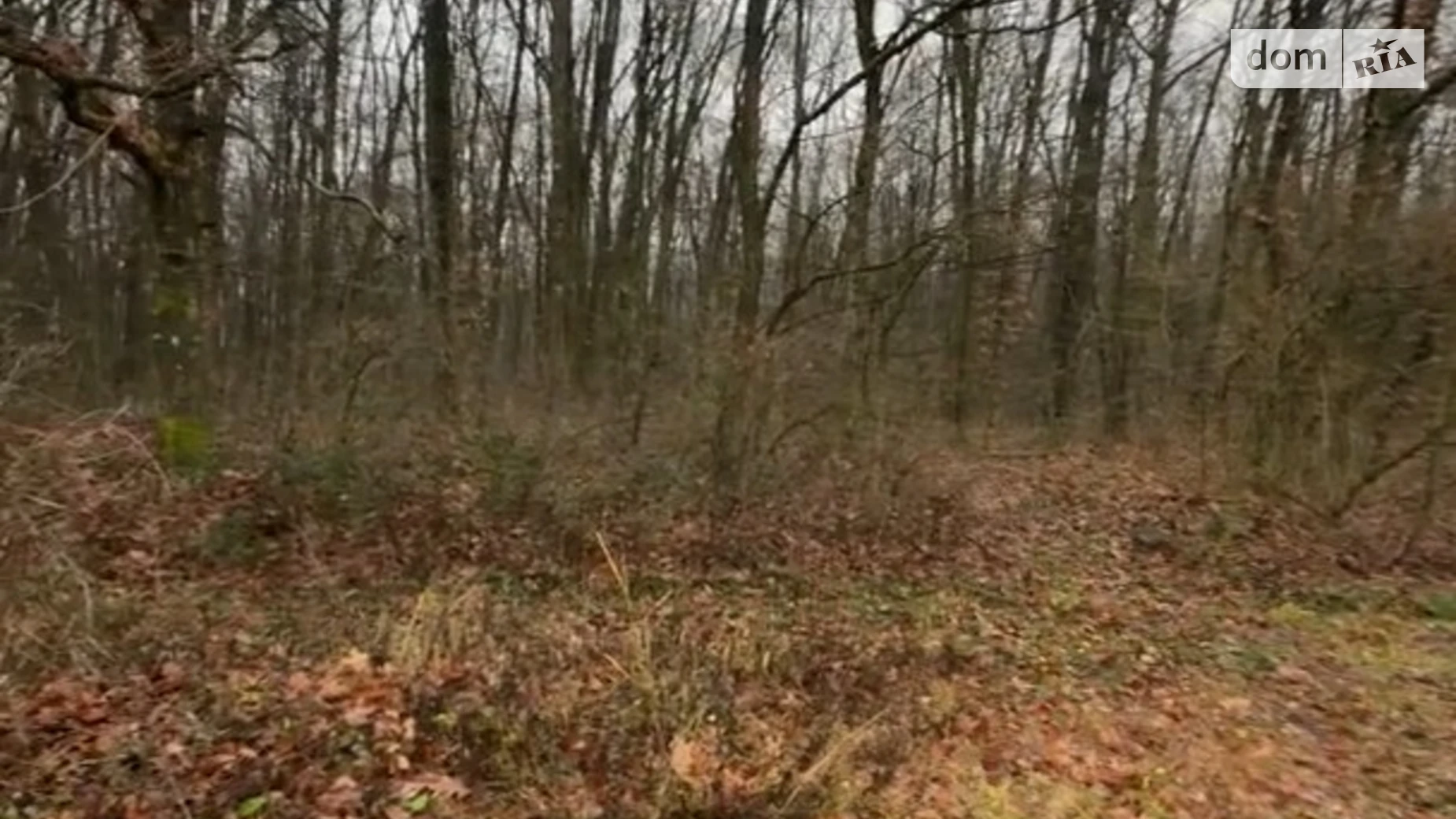 Продається земельна ділянка 6 соток у Закарпатській області, цена: 15000 $ - фото 2