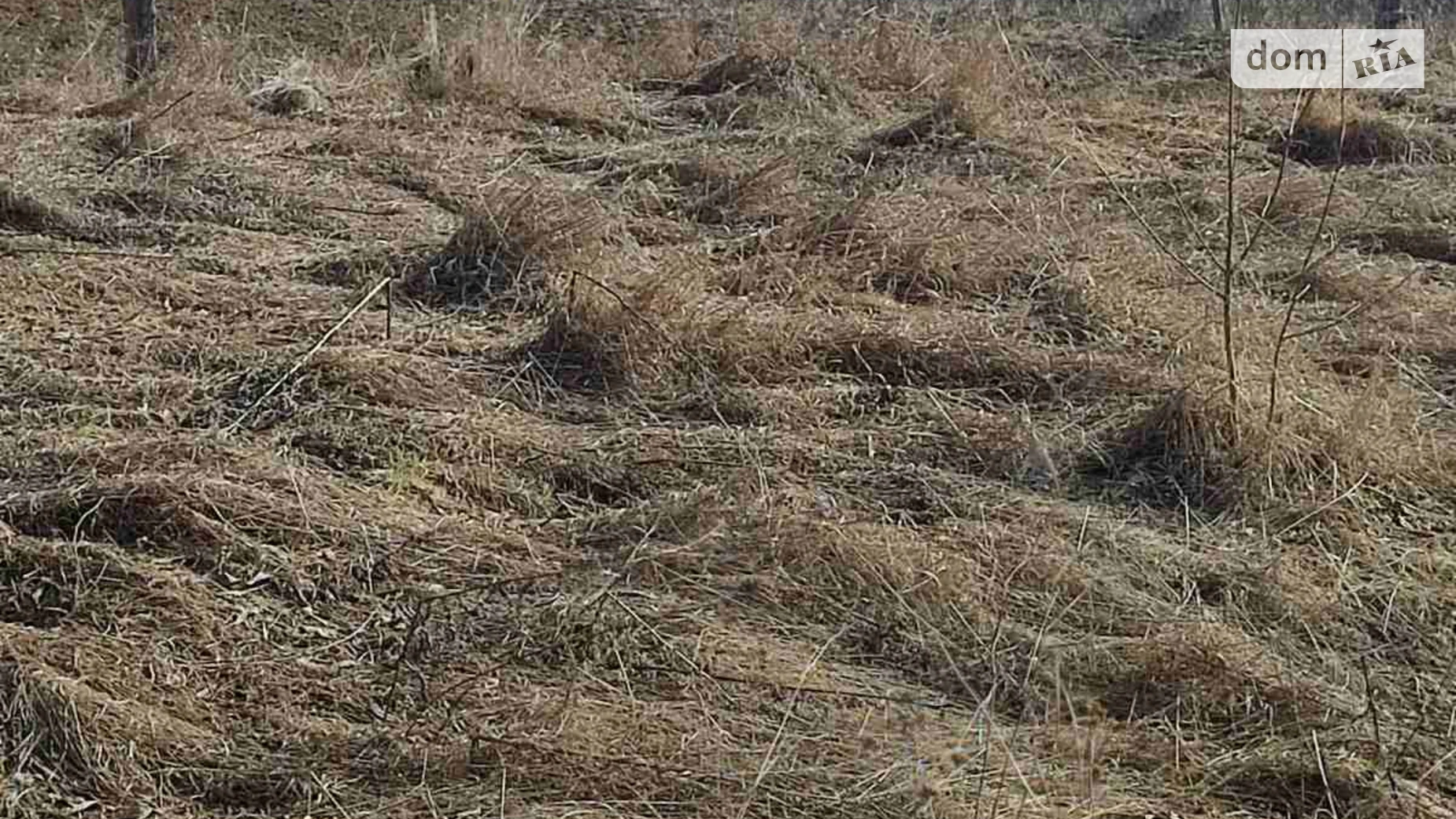 Продается земельный участок 9.57 соток в Винницкой области, цена: 10000 $ - фото 4