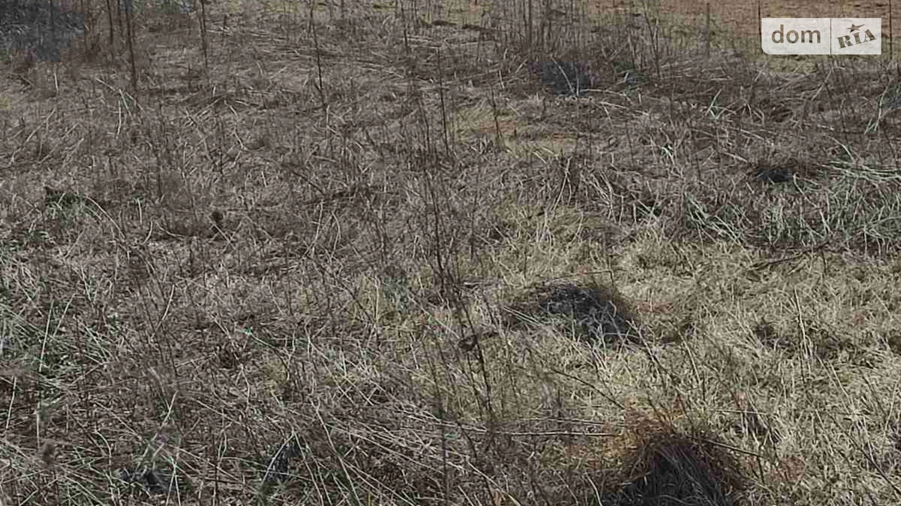 Продается земельный участок 9.57 соток в Винницкой области, цена: 10000 $ - фото 5