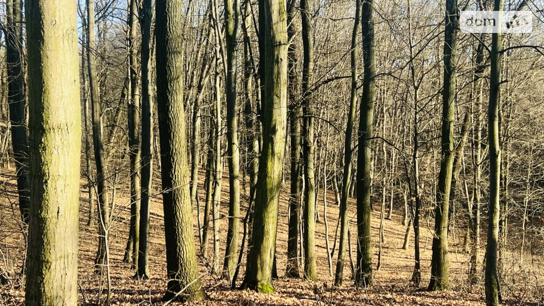 Продается земельный участок 30 соток в Винницкой области, цена: 33000 $ - фото 2