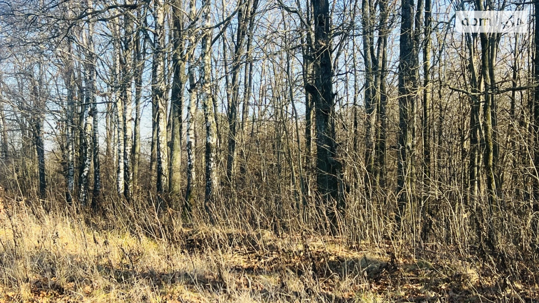 Продается земельный участок 30 соток в Винницкой области, цена: 33000 $ - фото 3