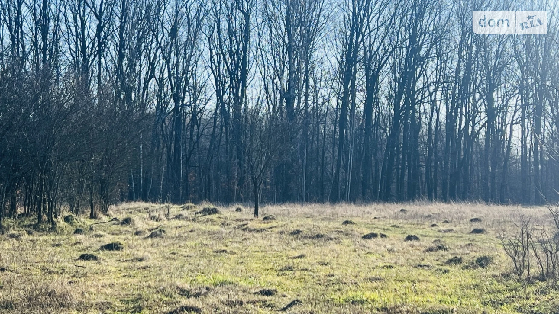 Продается земельный участок 30 соток в Винницкой области, цена: 33000 $ - фото 4