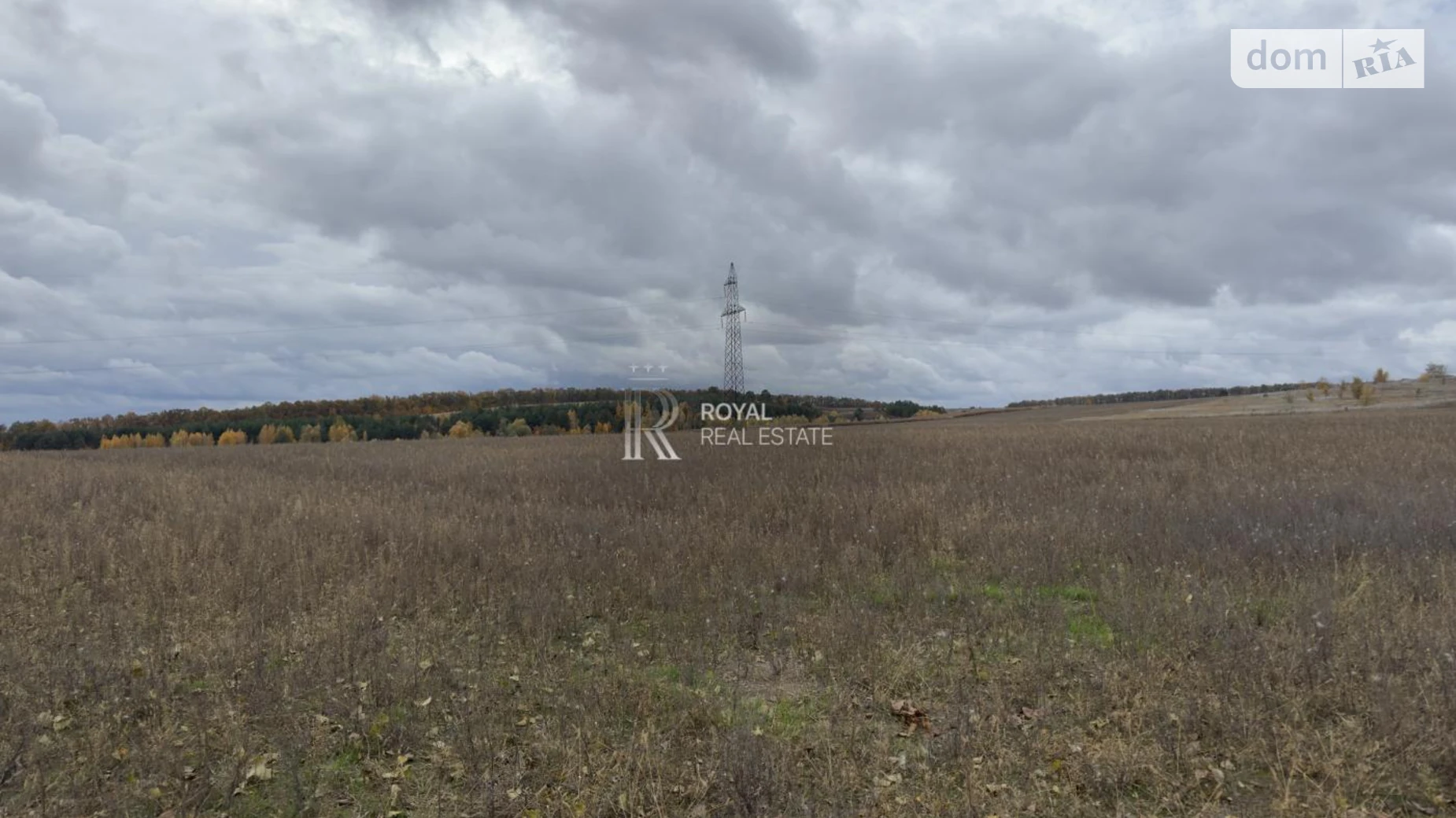 спуск Кленовый Гореничи, цена: 890000 $ - фото 2