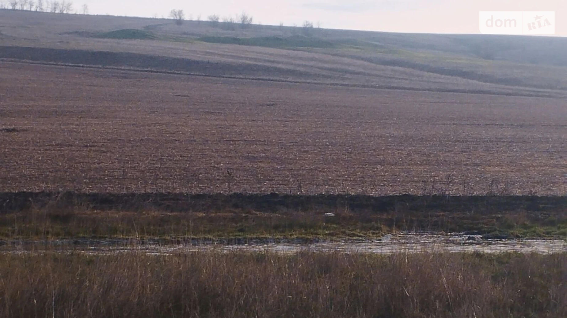 Надречное, цена: 64429 грн - фото 2