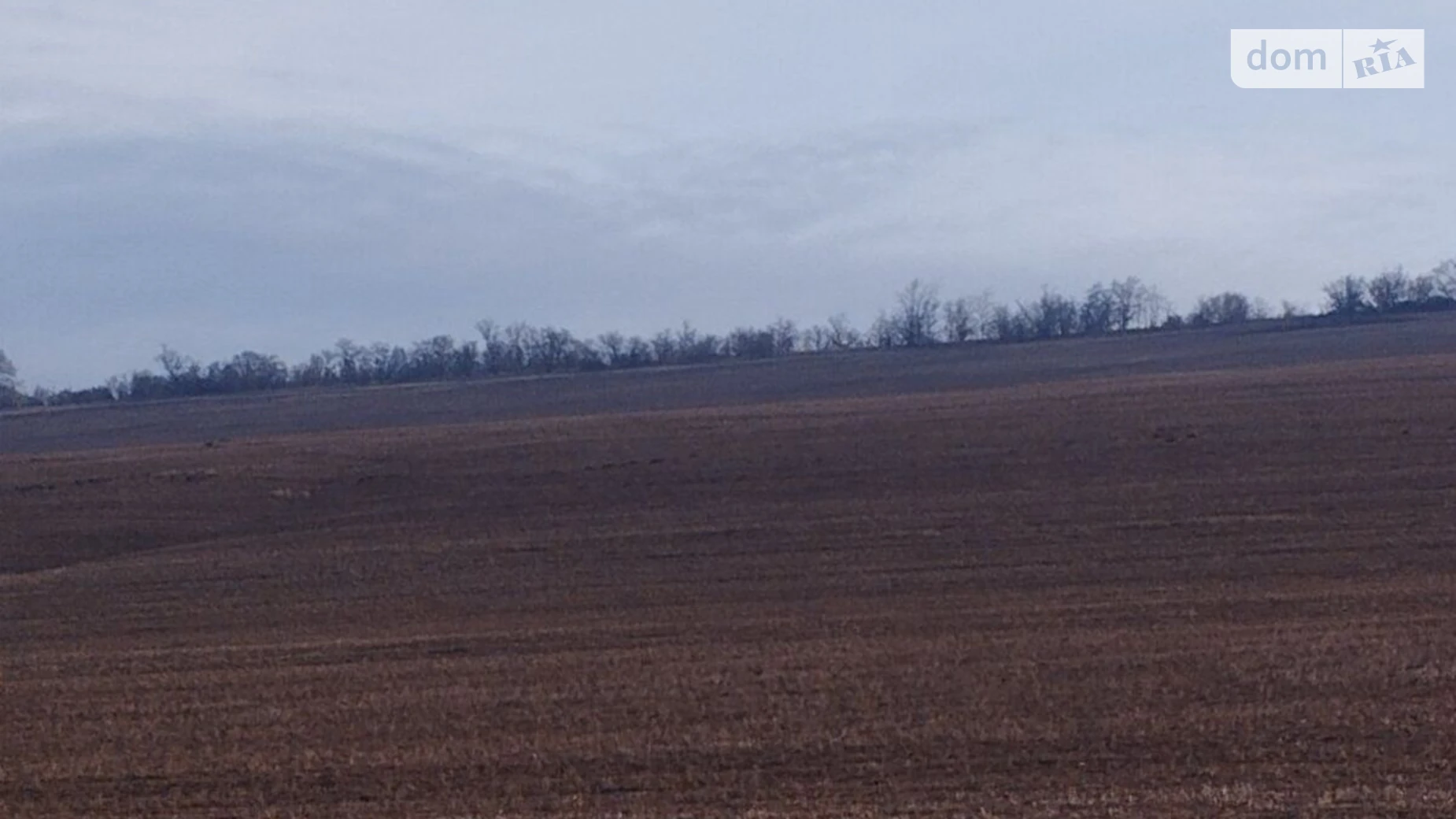 Сдается в аренду земельный участок 20 соток в Одесской области, цена: 61563 грн - фото 2