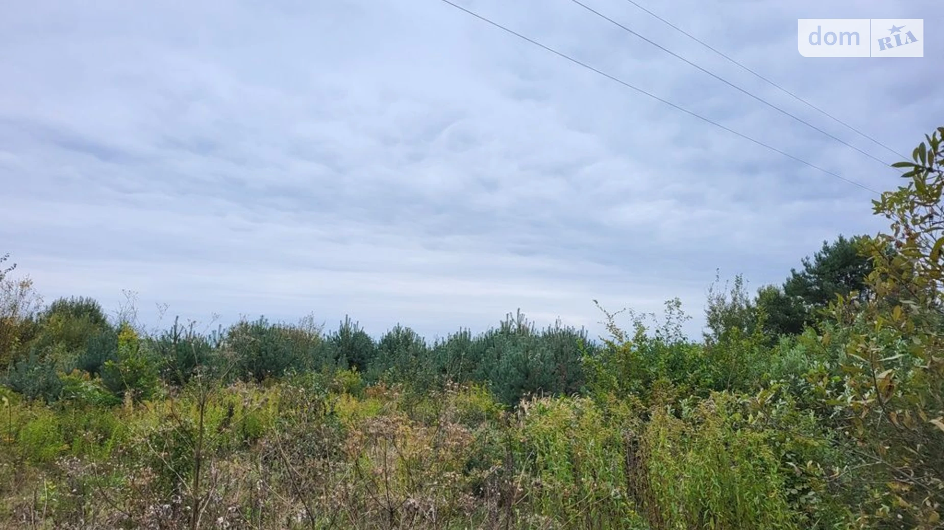 Татаринов, цена: 48935 грн - фото 2