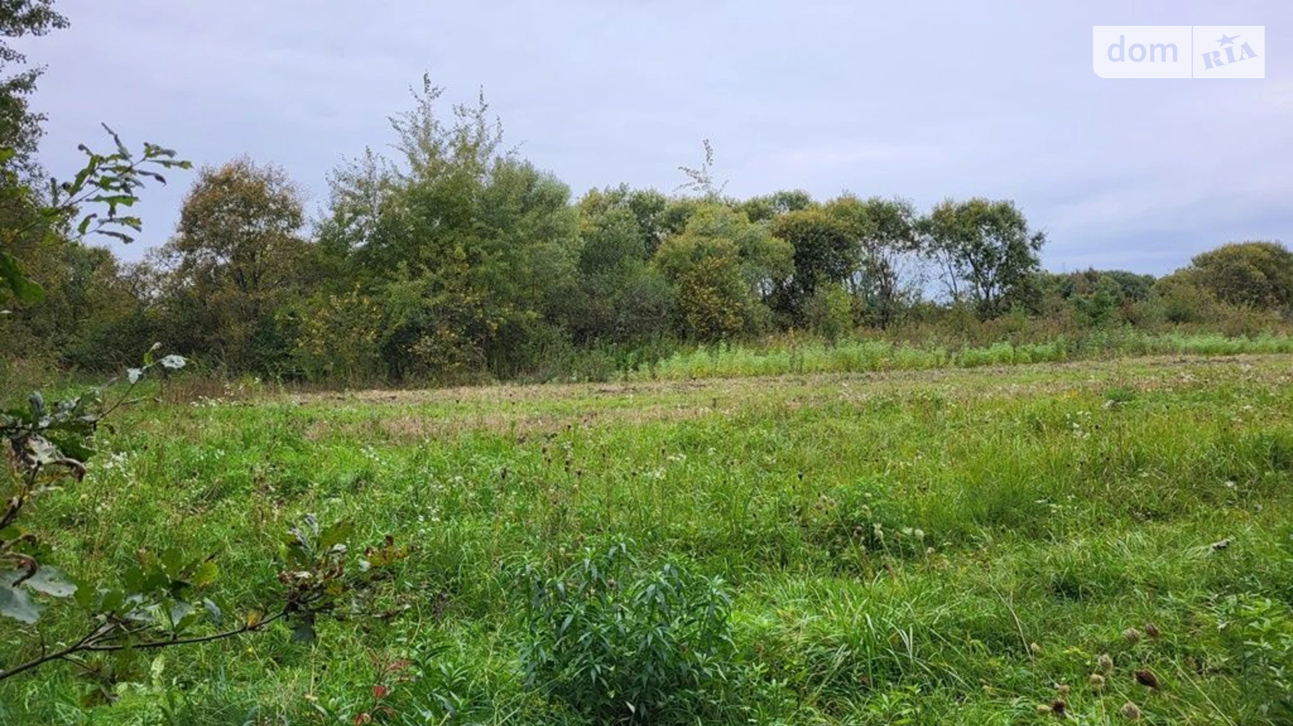 Татаринов, цена: 48935 грн - фото 4