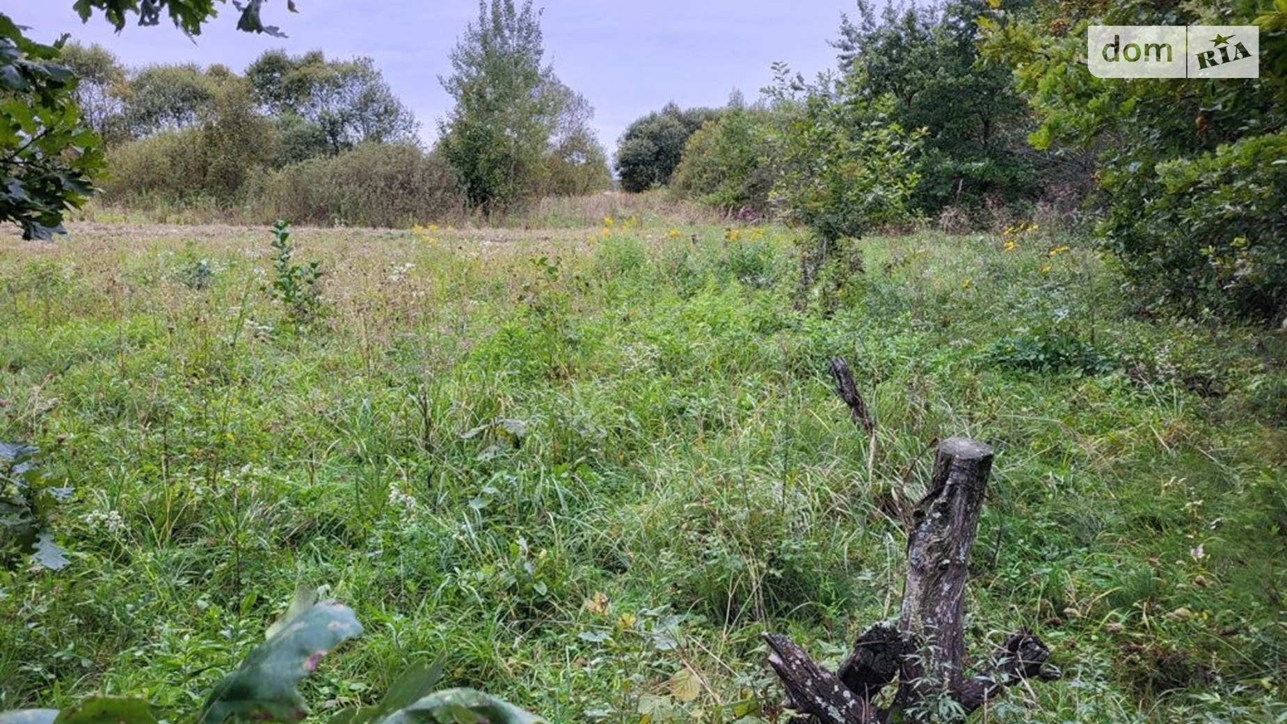 Татаринов, цена: 48935 грн - фото 5