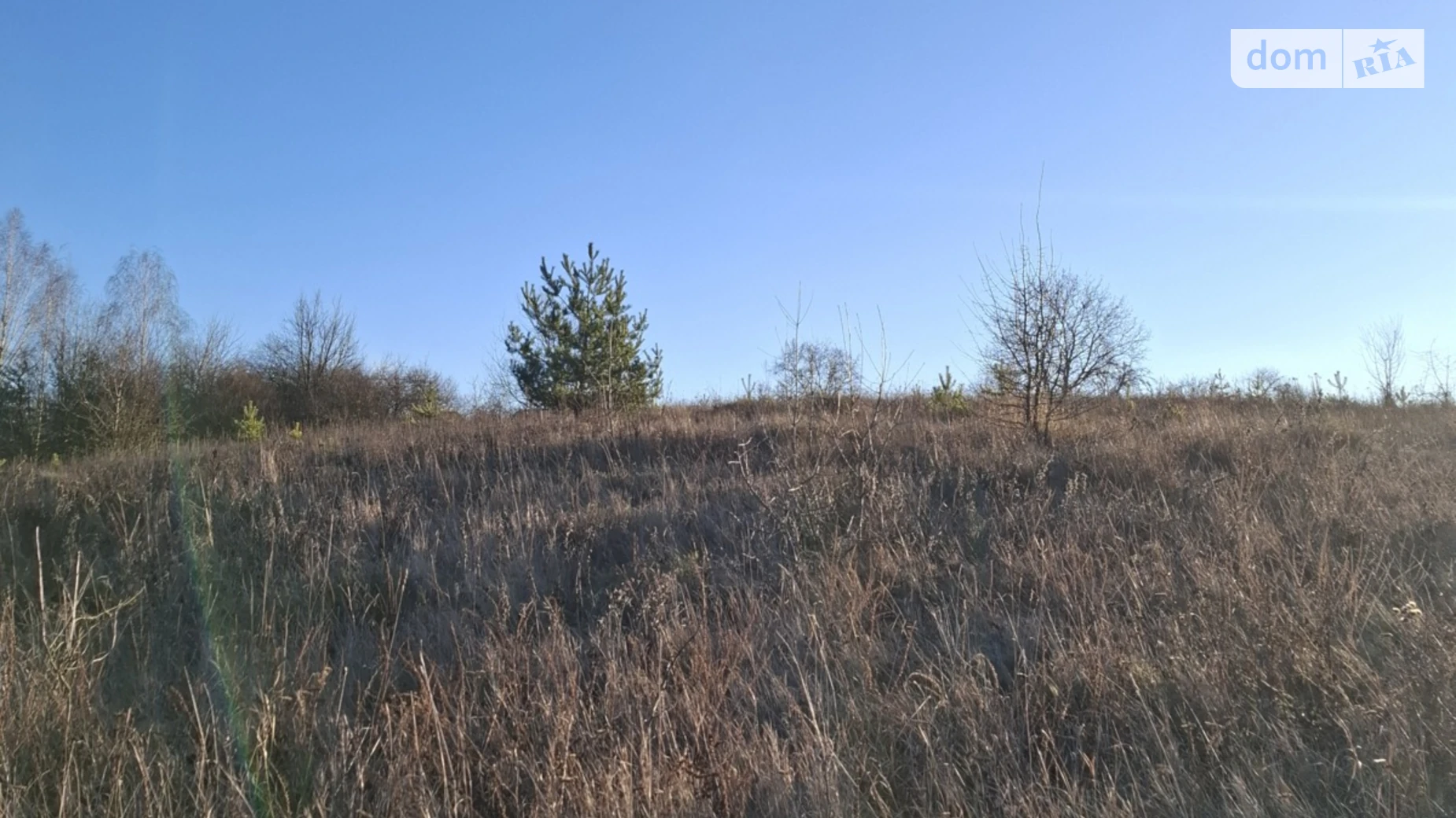 Продается земельный участок 17.14 соток в Винницкой области, цена: 13000 $ - фото 2