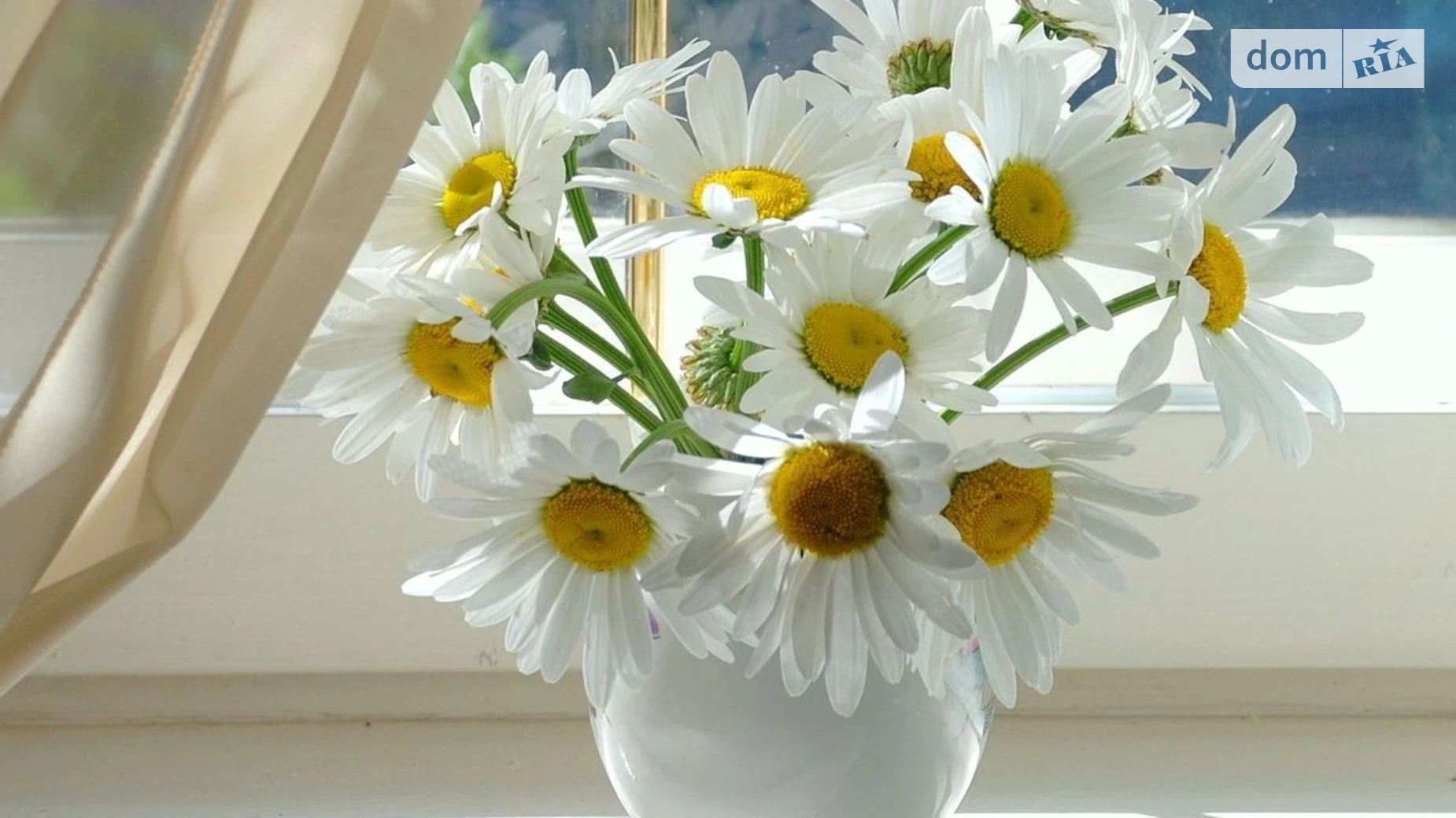 Продается помещения свободного назначения 27.2 кв. м в 5-этажном здании, цена: 9500 $ - фото 2