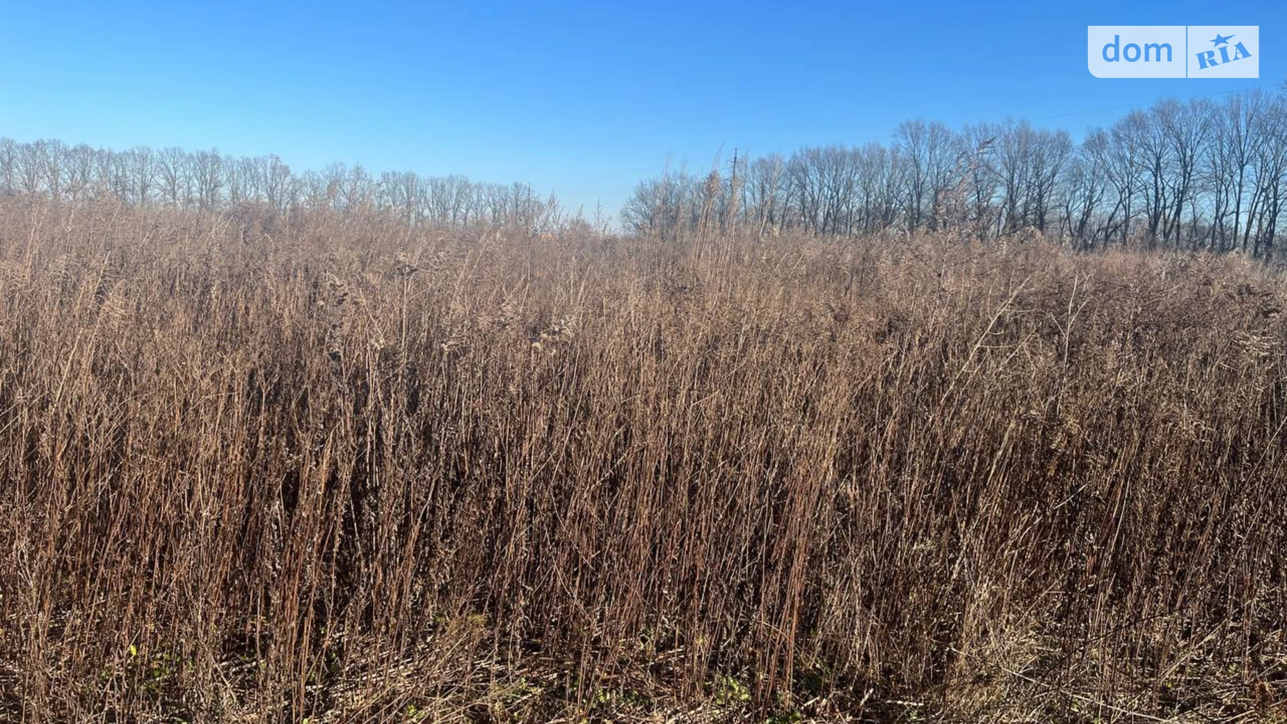 Продается земельный участок 6 соток в Винницкой области, цена: 12000 $ - фото 3