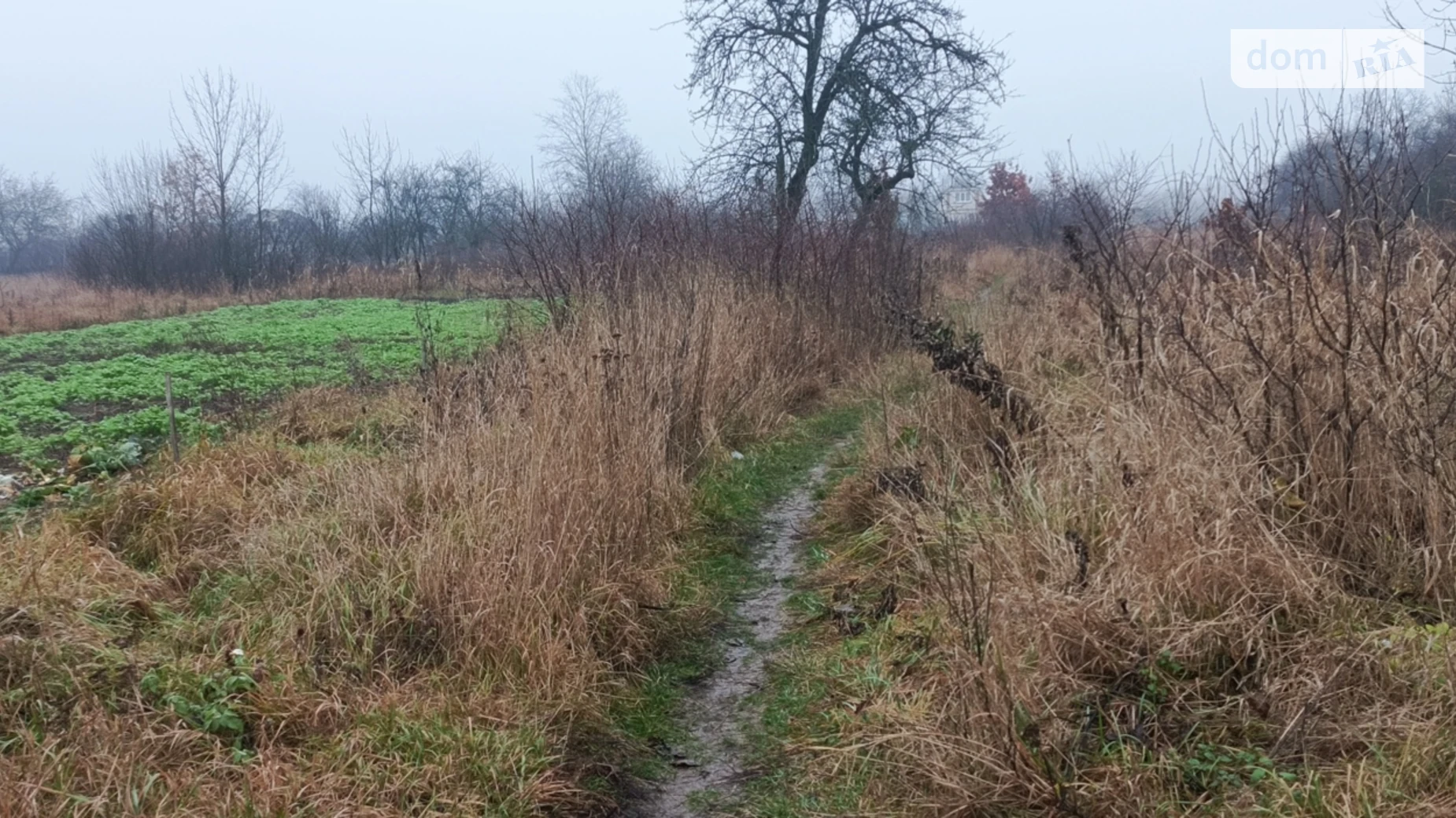 Продается земельный участок 0.176 соток в Винницкой области, цена: 54000 $ - фото 4