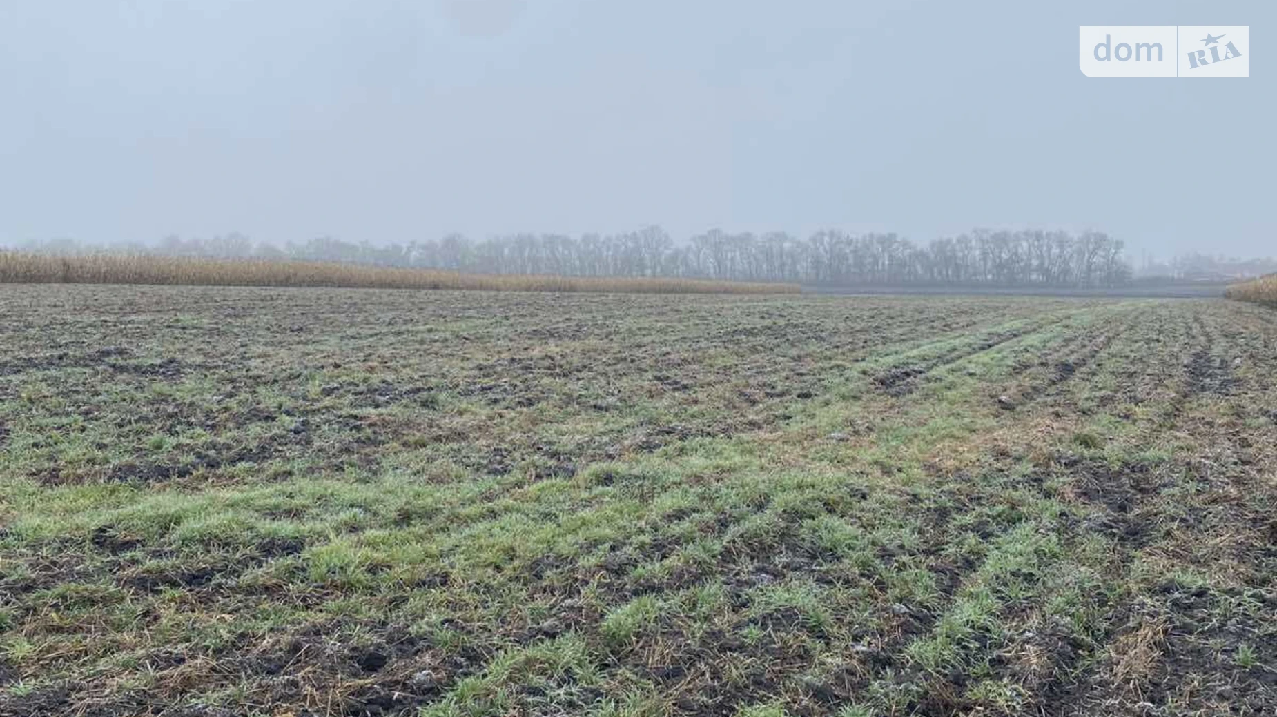 Продается земельный участок 1.3582 соток в Винницкой области, цена: 70000 $ - фото 2