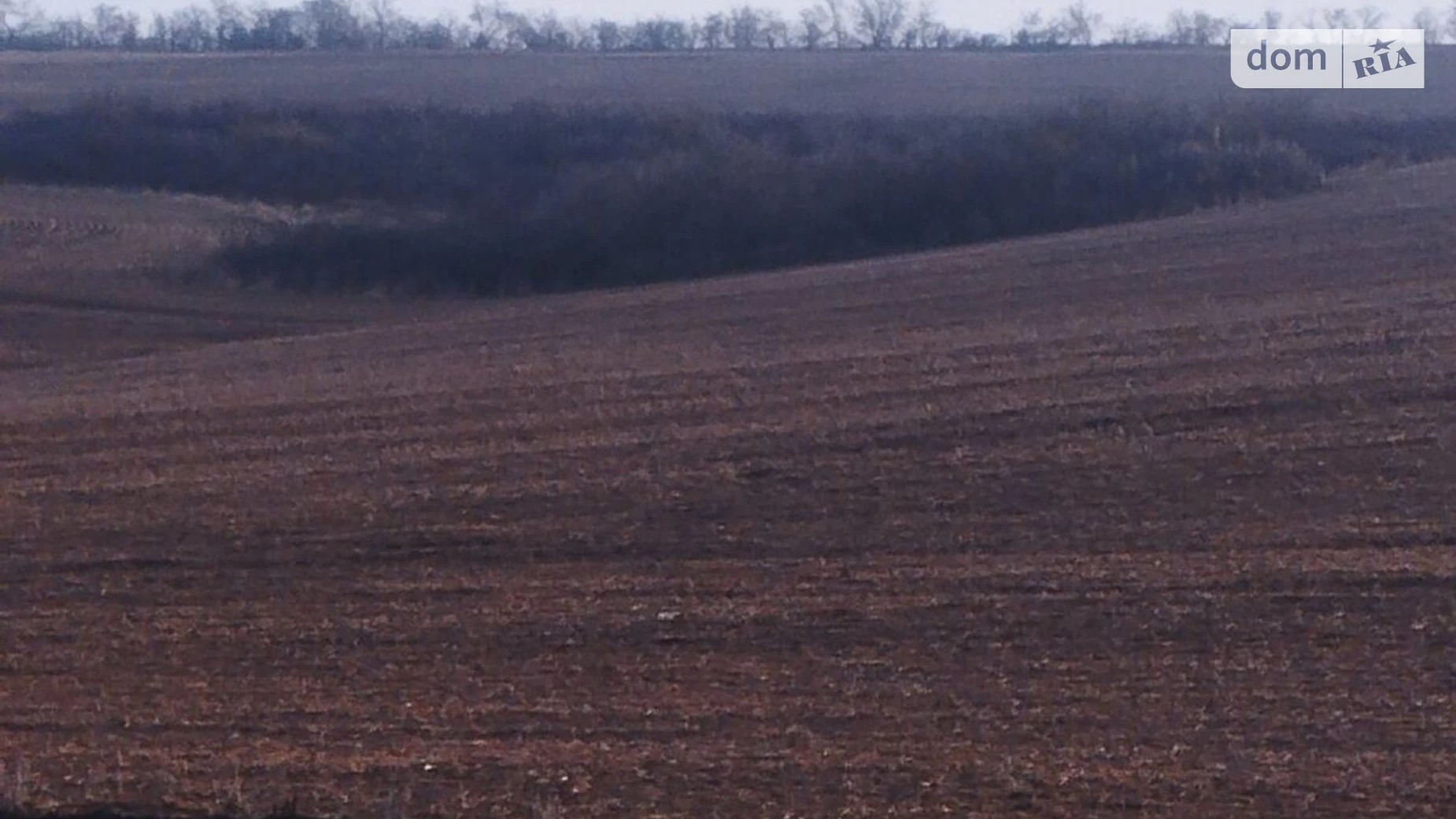 Сдается в аренду земельный участок 15 соток в Одесской области, цена: 39913 грн - фото 2