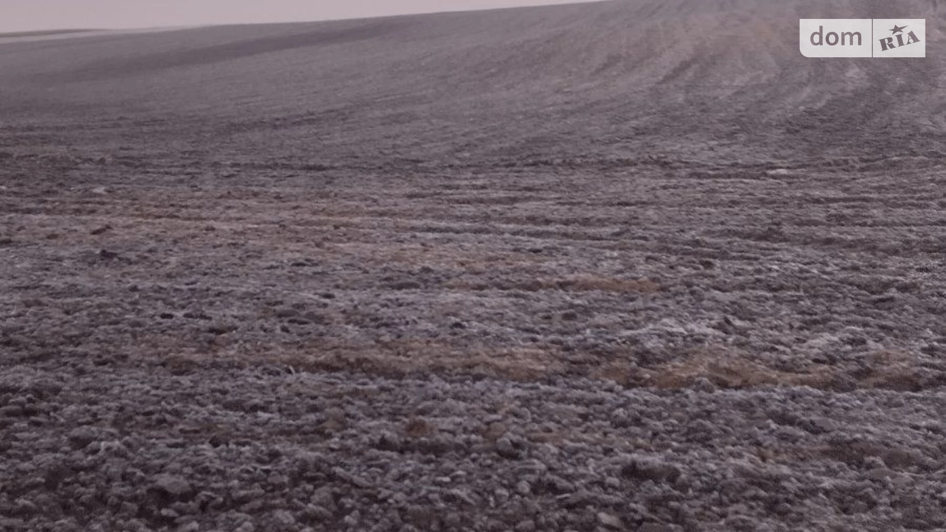 Сдается в аренду земельный участок 10.0011 соток в Ровенской области, цена: 43742 грн - фото 2